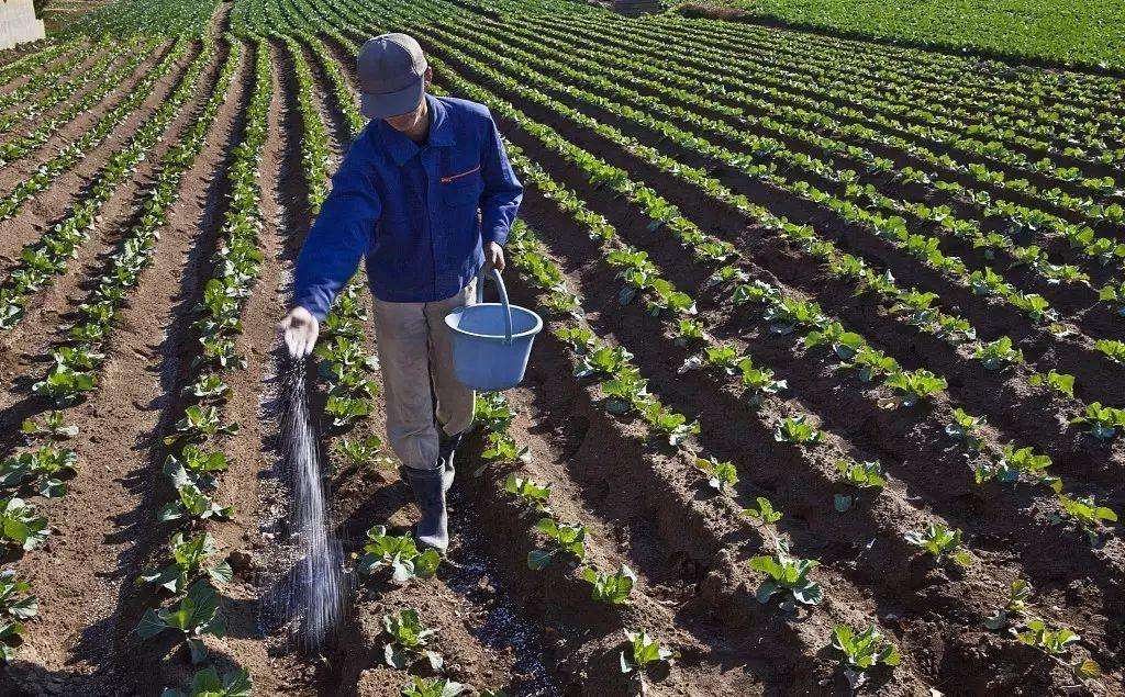 src=http%3A%2F%2Fp1.itc.cn%2Fimages01%2F20210223%2Fc4bd884d3a6d4b258a4bf89c40f49a9a.jpeg&refer=http%3A%2F%2Fp1.itc.jpg src=http%3A%2F%2Fp1.itc.cn%2Fimages01%2F20210223%2Fc4bd884d3a6d4b258a4bf89c40f49a9a.jpeg&refer=http%3A%2F%2Fp1.itc.jpg